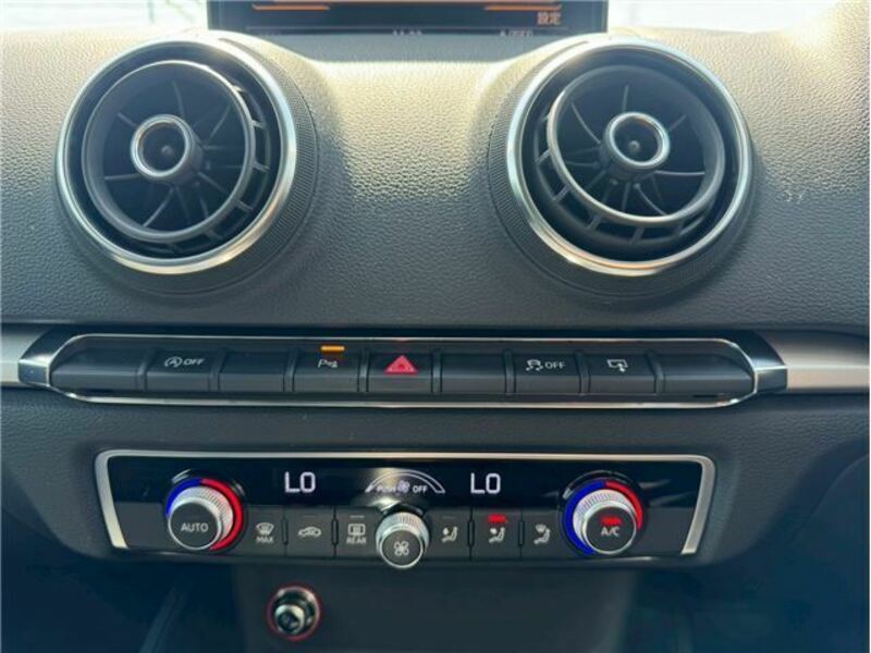 A3