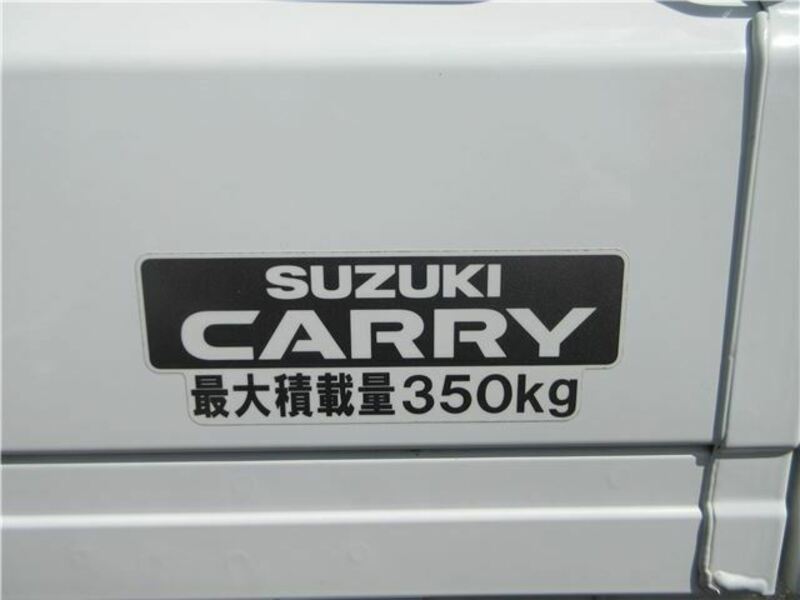 CARRY TRUCK-19