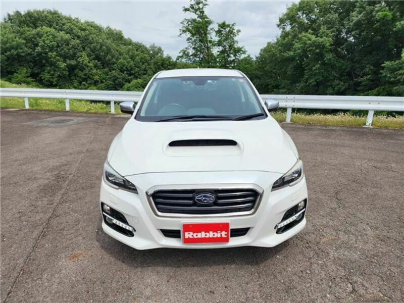 LEVORG-3