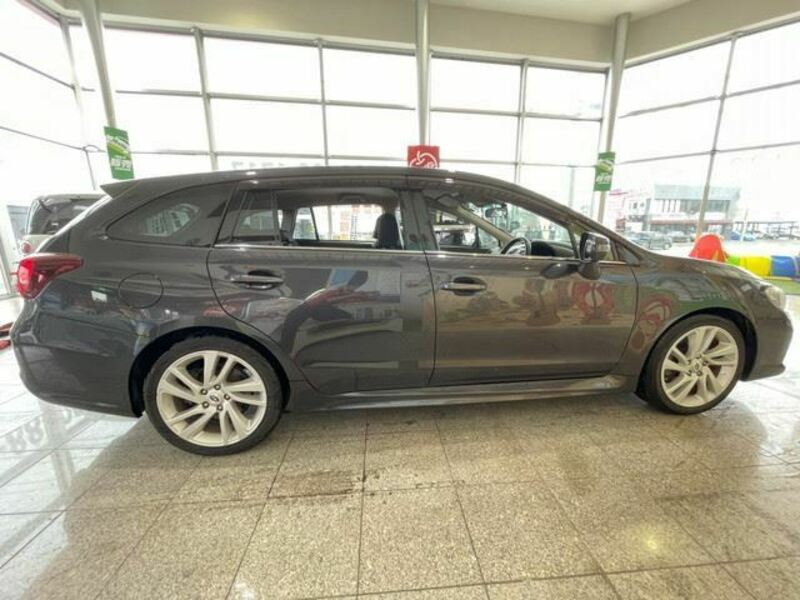LEVORG