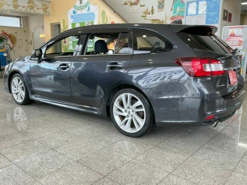 LEVORG