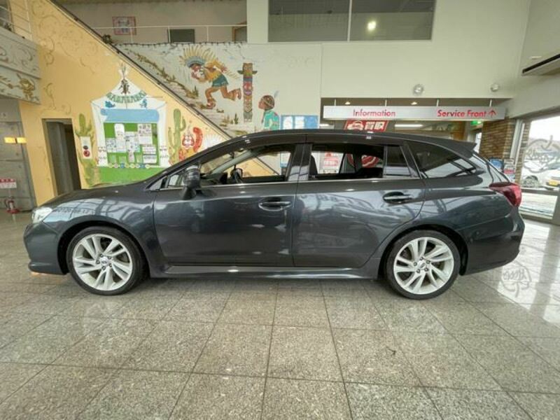 LEVORG