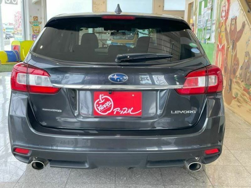 LEVORG