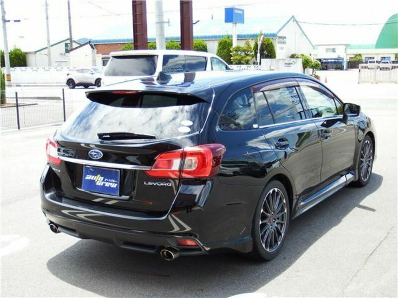 LEVORG
