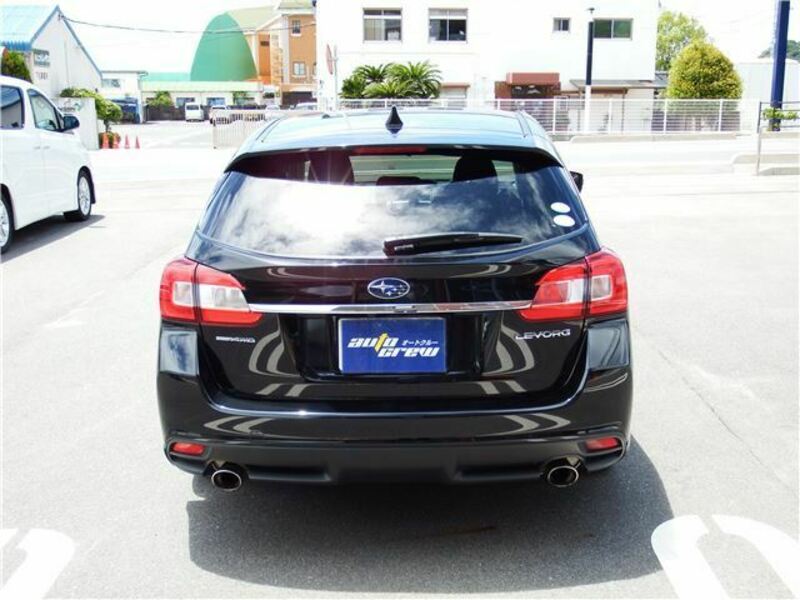 LEVORG
