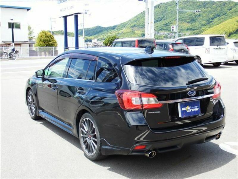 LEVORG