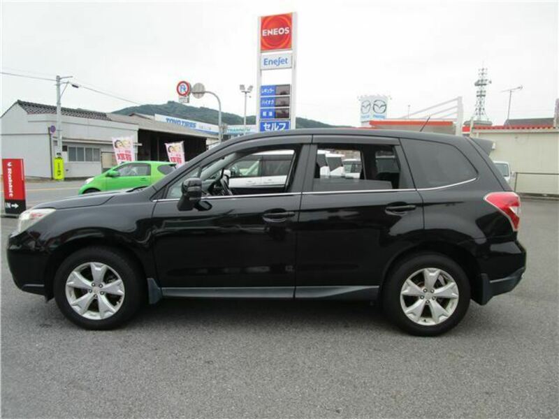 FORESTER
