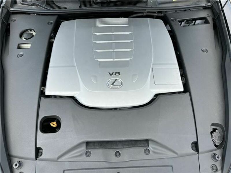 LS