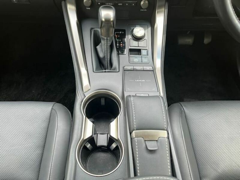 NX