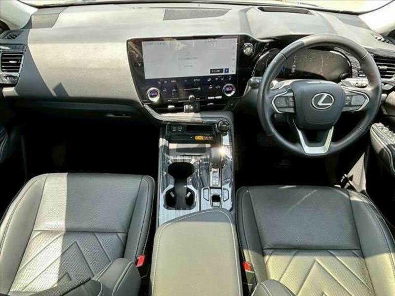 NX