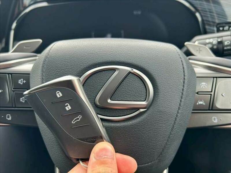 NX