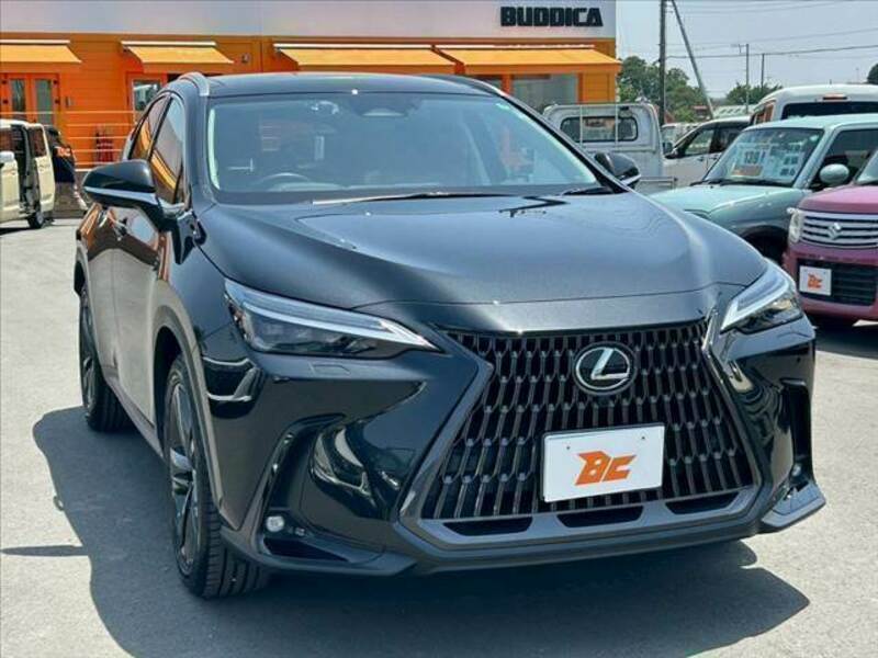 NX