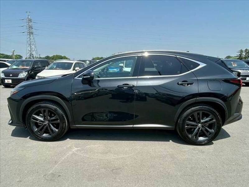 NX