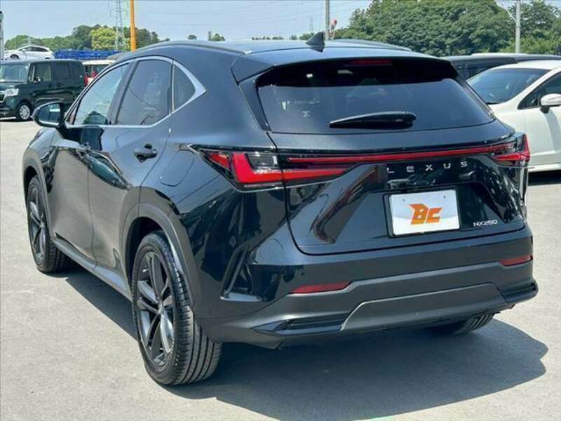 NX