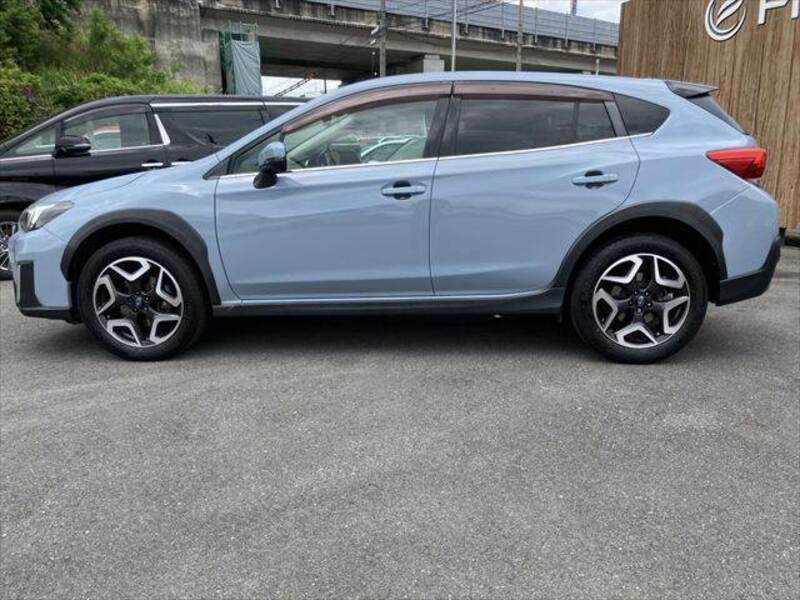 XV