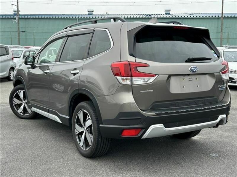 FORESTER