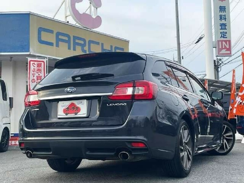 LEVORG