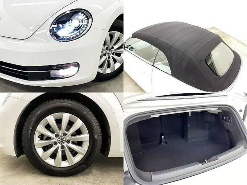 BEETLE-6