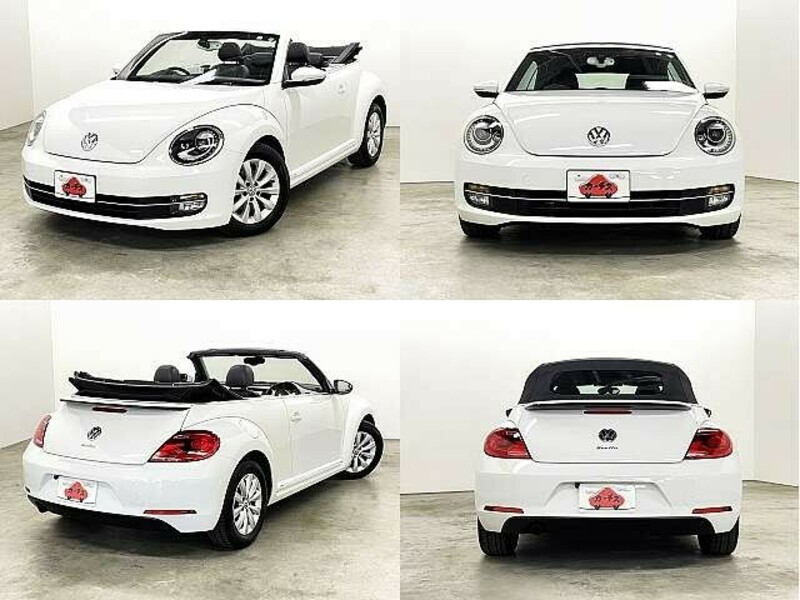 BEETLE-8