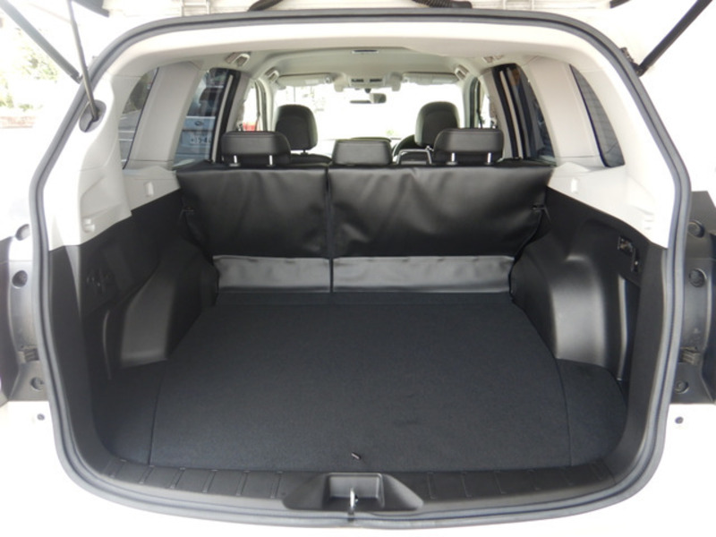 FORESTER-18