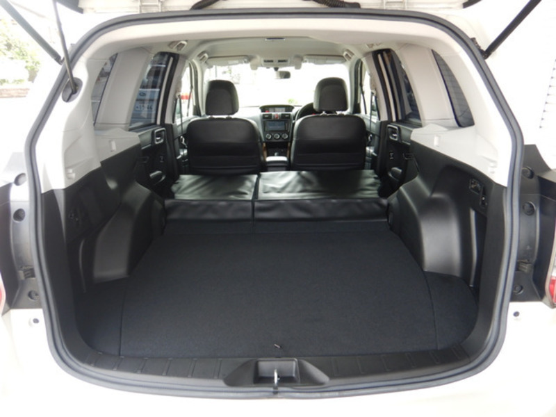 FORESTER-19