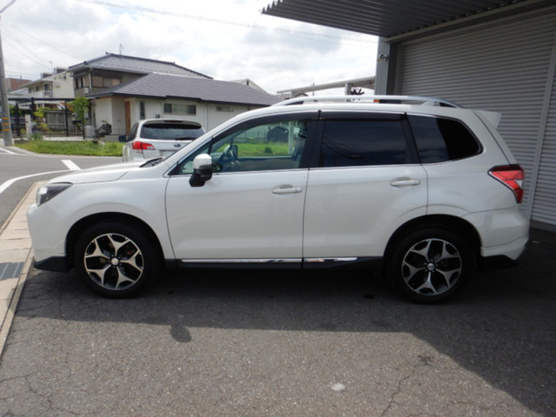 FORESTER-8