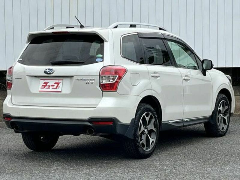 FORESTER-2