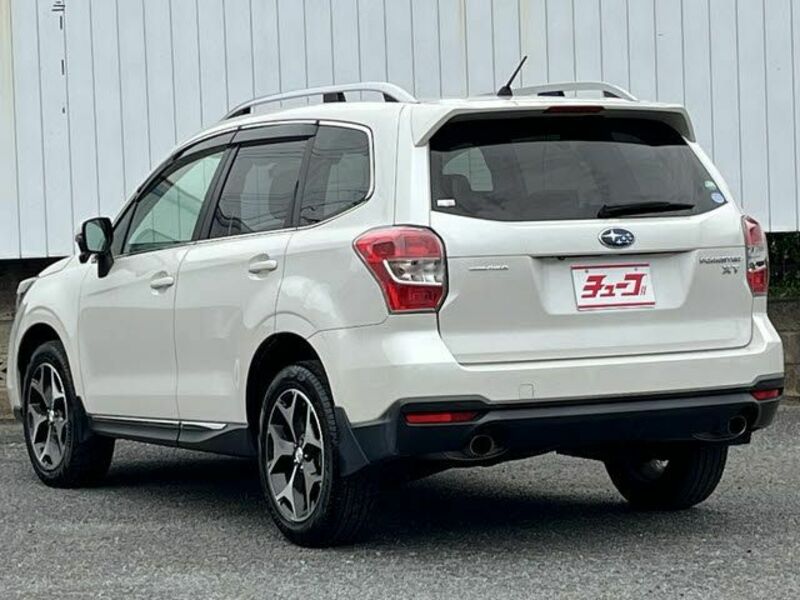 FORESTER-8