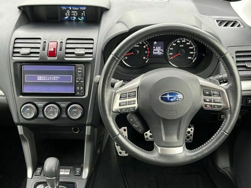FORESTER-13