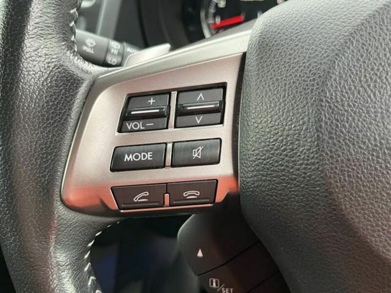 FORESTER-17