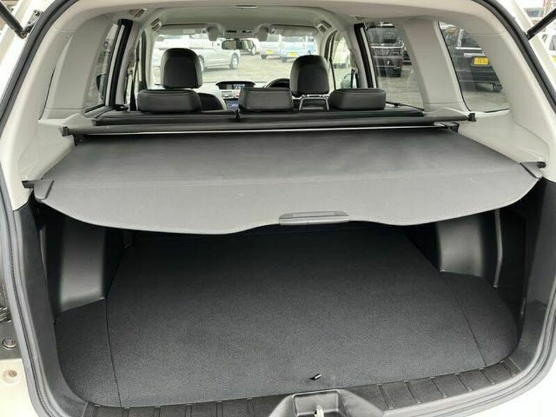 FORESTER-20