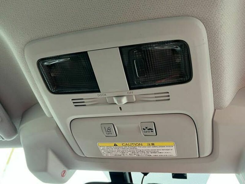 FORESTER-23