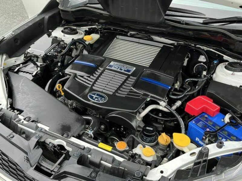 FORESTER-27