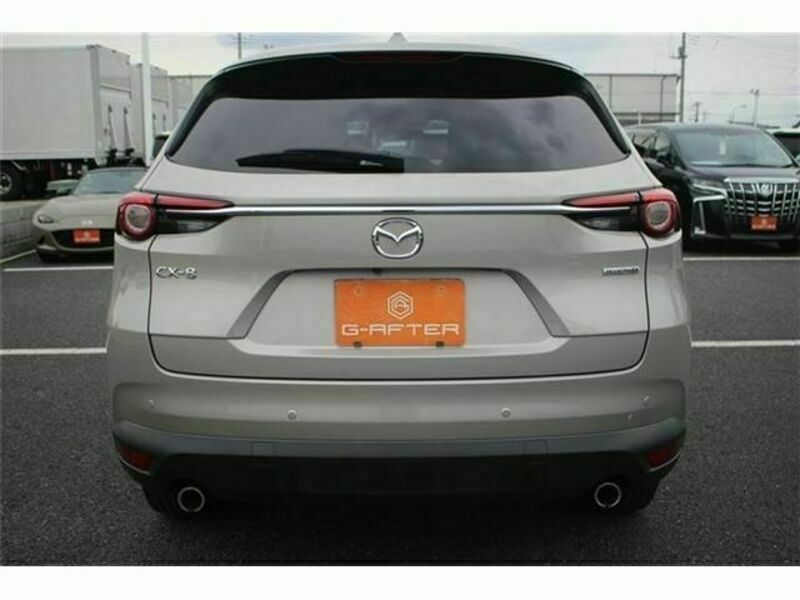 CX-8-10