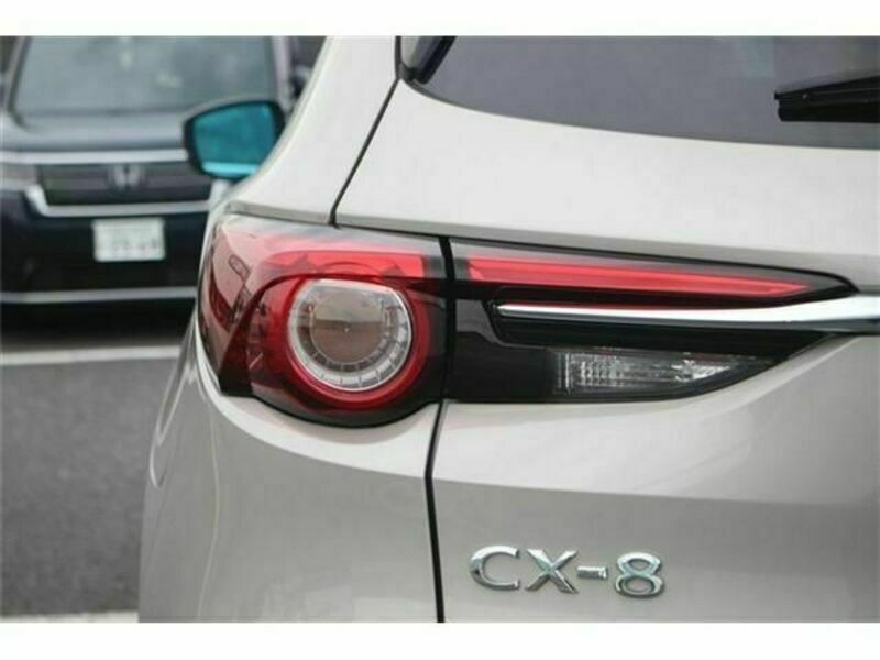 CX-8-13