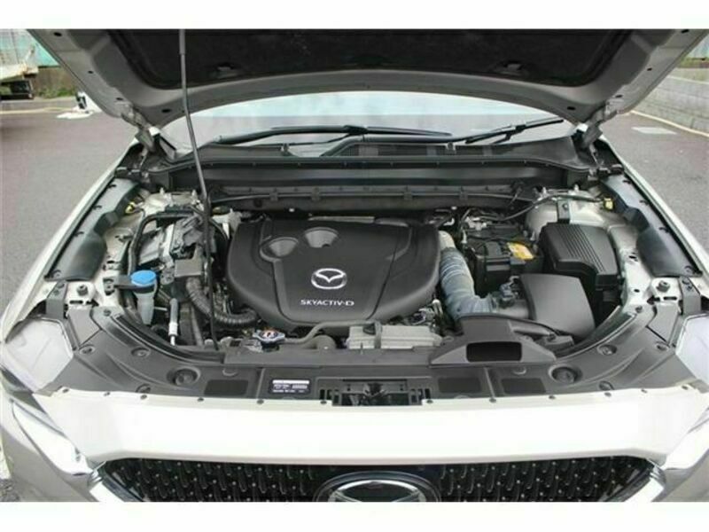 CX-8-19