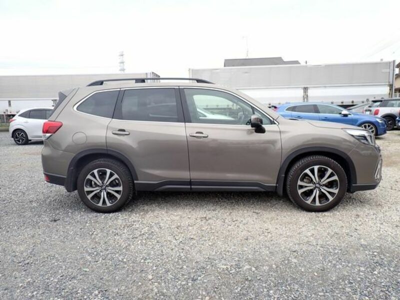 FORESTER