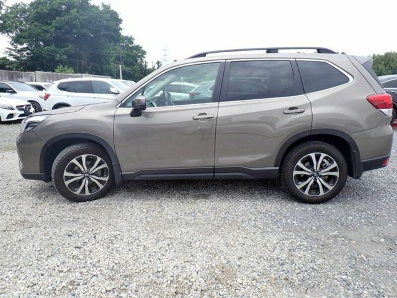 FORESTER
