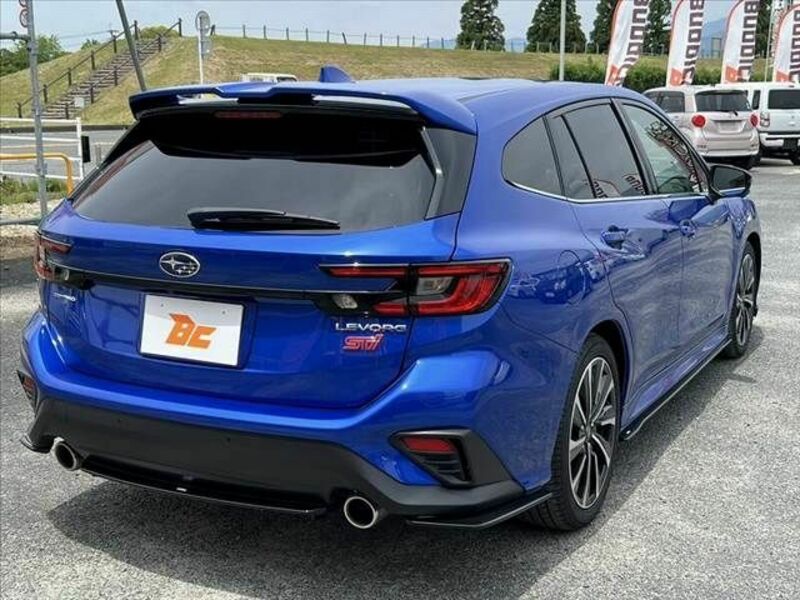 LEVORG