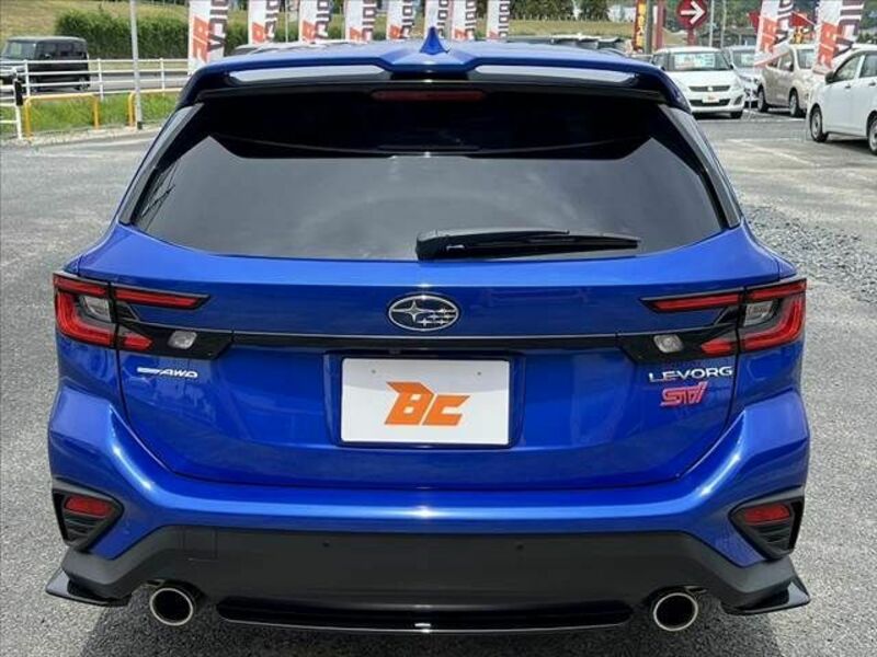 LEVORG