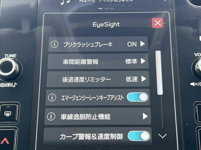 LEVORG