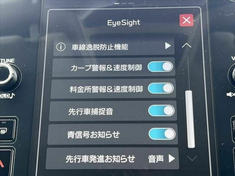 LEVORG
