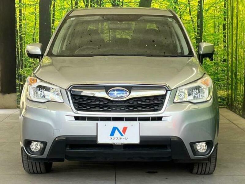 FORESTER-13