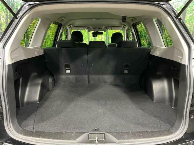FORESTER-15