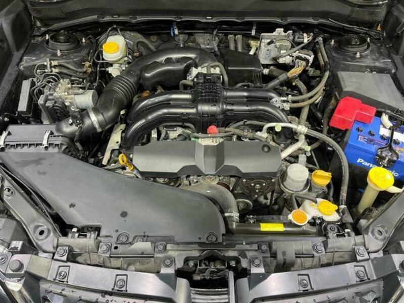 FORESTER-1