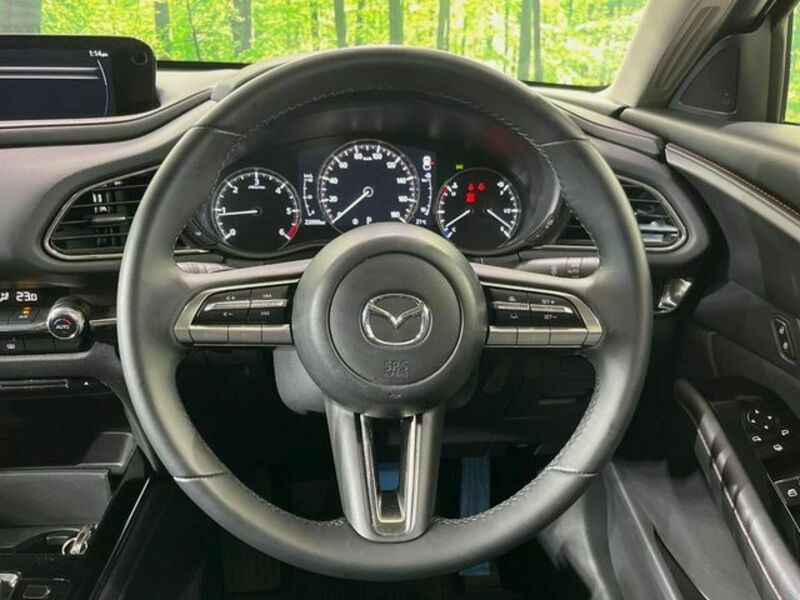 CX-30