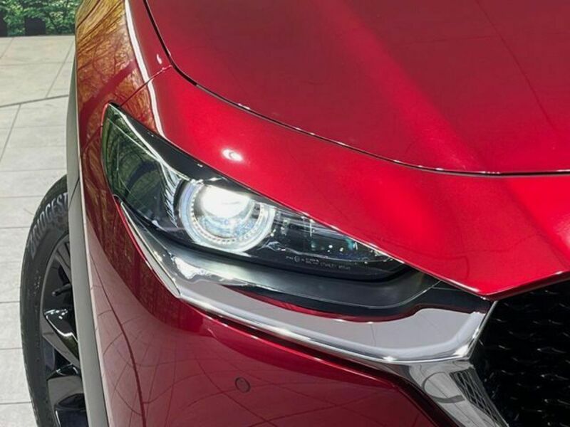 CX-30