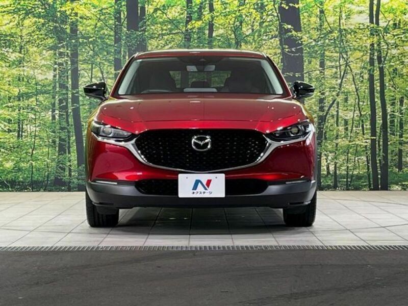CX-30