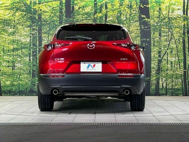CX-30