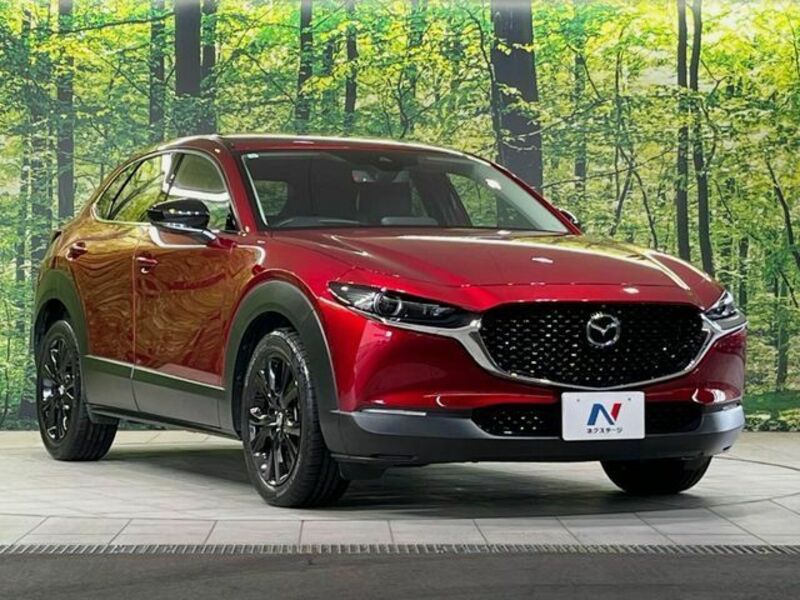 CX-30